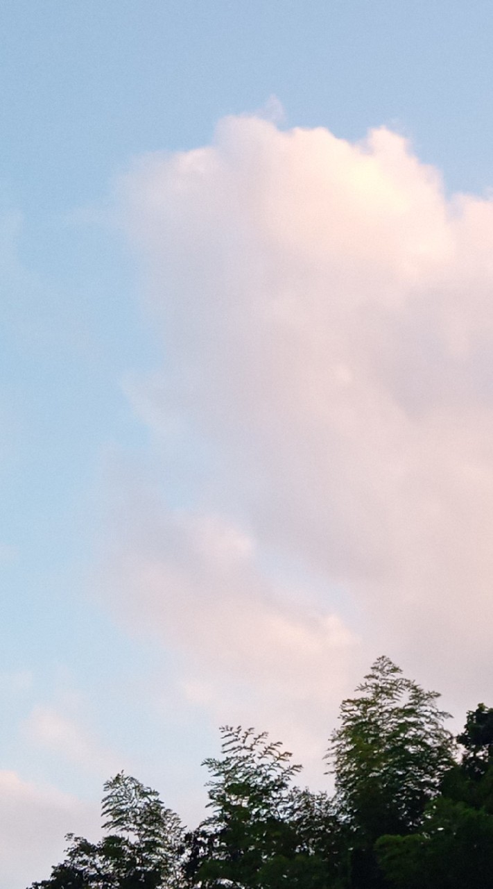 すとぷりすなーの集い