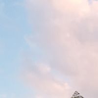 すとぷりすなーの集い
