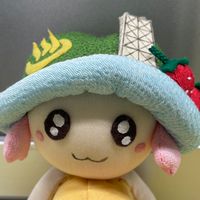 伊豆の国市社協　能登半島地震被災地支援
