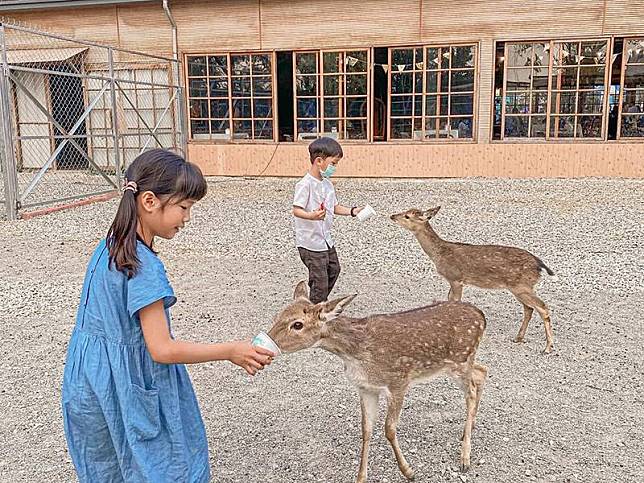 ▲圖片來源：IG@hsingfang20