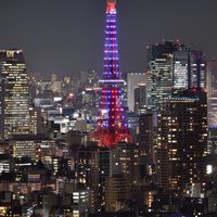 日本代購go（日本代購、各大網站代標）