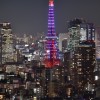 日本代購go（日本代購、各大網站代標）