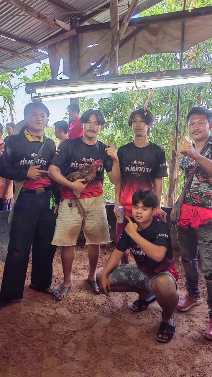 CN100 FARM 🐓🐯