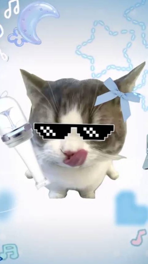 🎵亮極熊☆