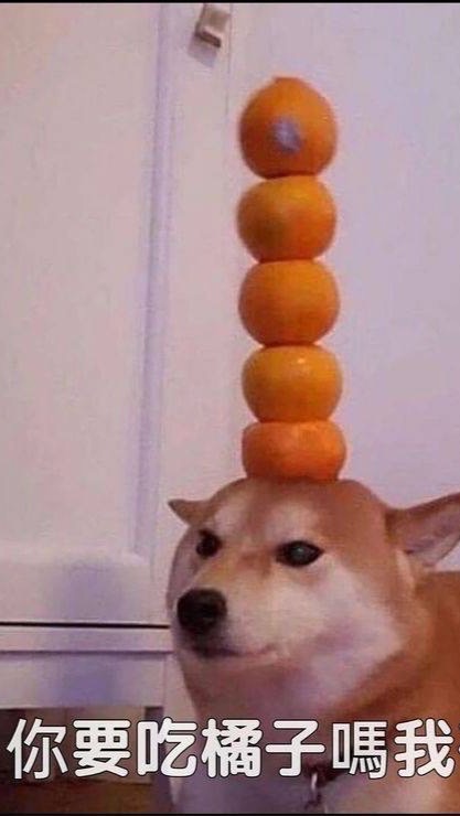 孩子你是否有很多問號❓