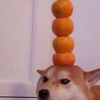 孩子你是否有很多問號❓