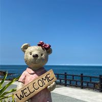 桃園/保健團購/costco代購