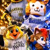 12球団ファン集合！✨プロ野球雑談トーク⚾️