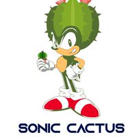 Cactus by Sonic cactus Farm