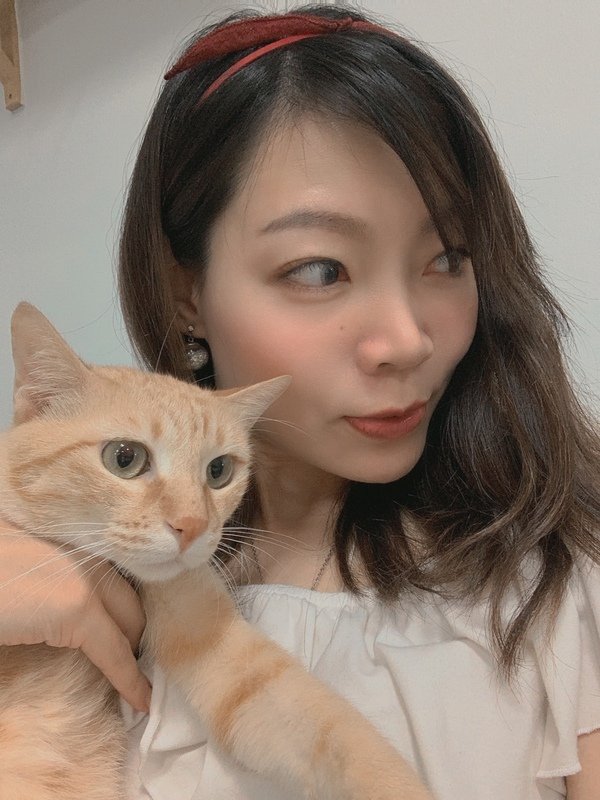 「寵物飼料」紐樂芙nulo freestyle 火雞肉口味貓咪飼料開箱分享