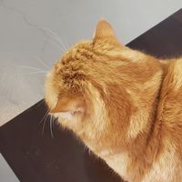 Dcard職涯發展互助群