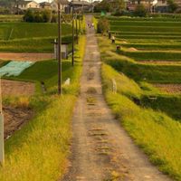 ◈ AU THAI ╏ หมู่บ้านรุ่งตะวันม่านหมอก