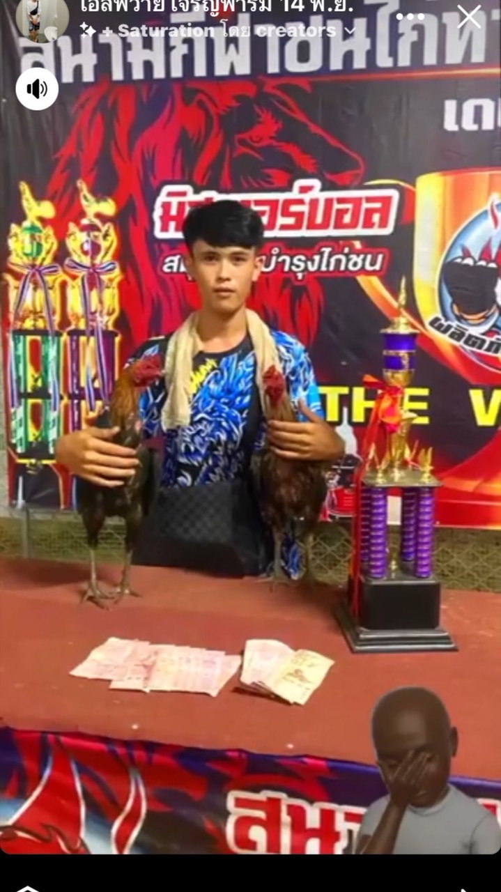 SPYเจริญฟาร์ม (แทงไห้รู้จัก)