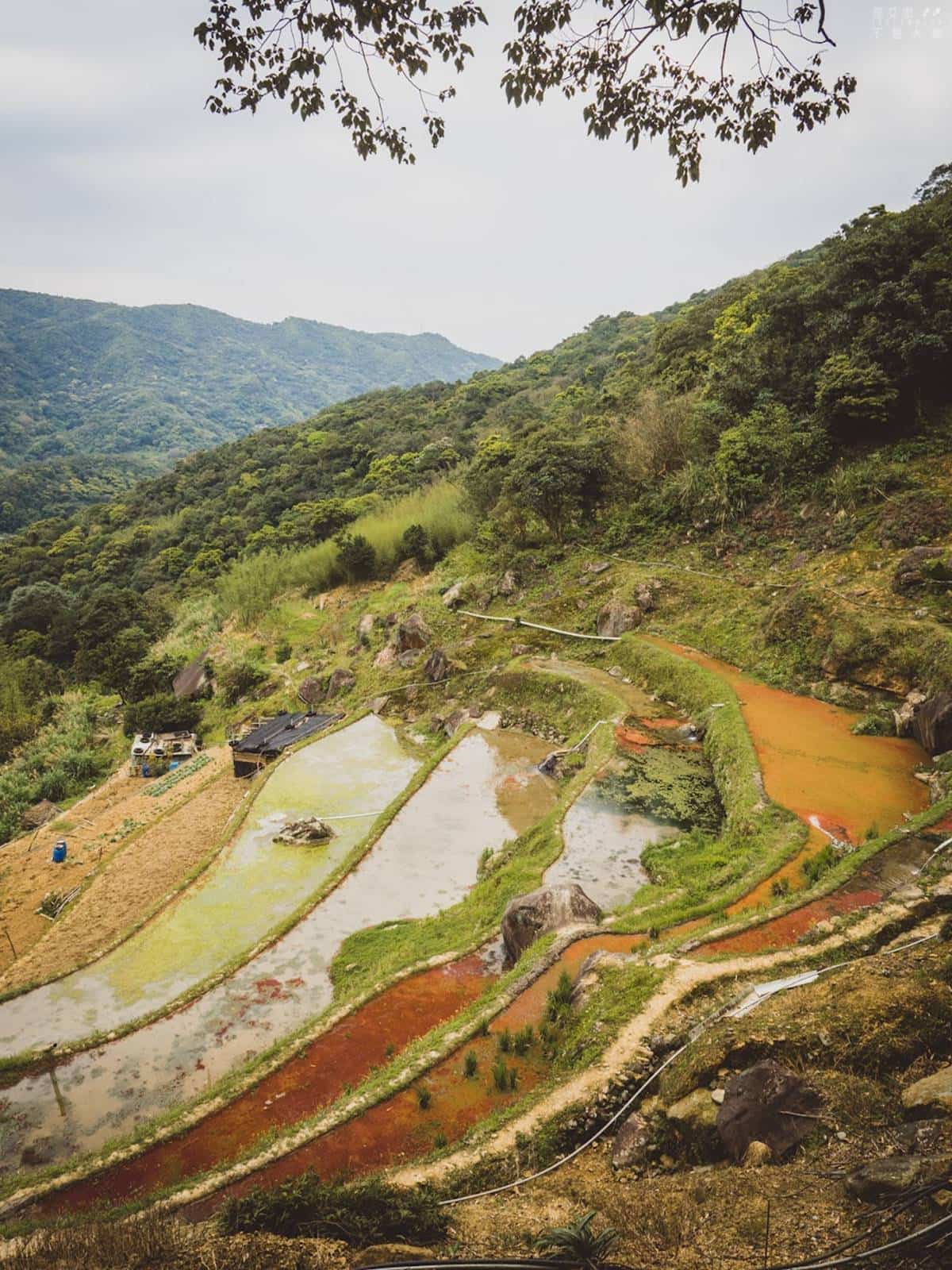 別只去故宮！士林６處「隱藏版景點」快衝：外雙溪祕境、IG暴紅「水中步道」