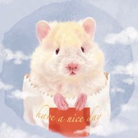 ☁️雲端熊舍-金絲熊☁️公告區📣