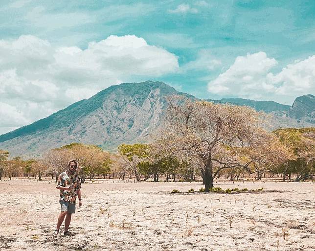 5 Spot Menarik Di Taman Nasional Baluran Bak Di Afrika