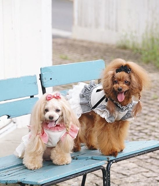 嚴選日系貴族風n造型甜美優雅n精緻華麗