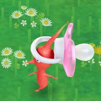 🌟新竹🍄皮克敏Pikmin Bloom🍄