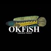 OKFish Smart Tank คนเลี้ยงปลาต้องรู้!