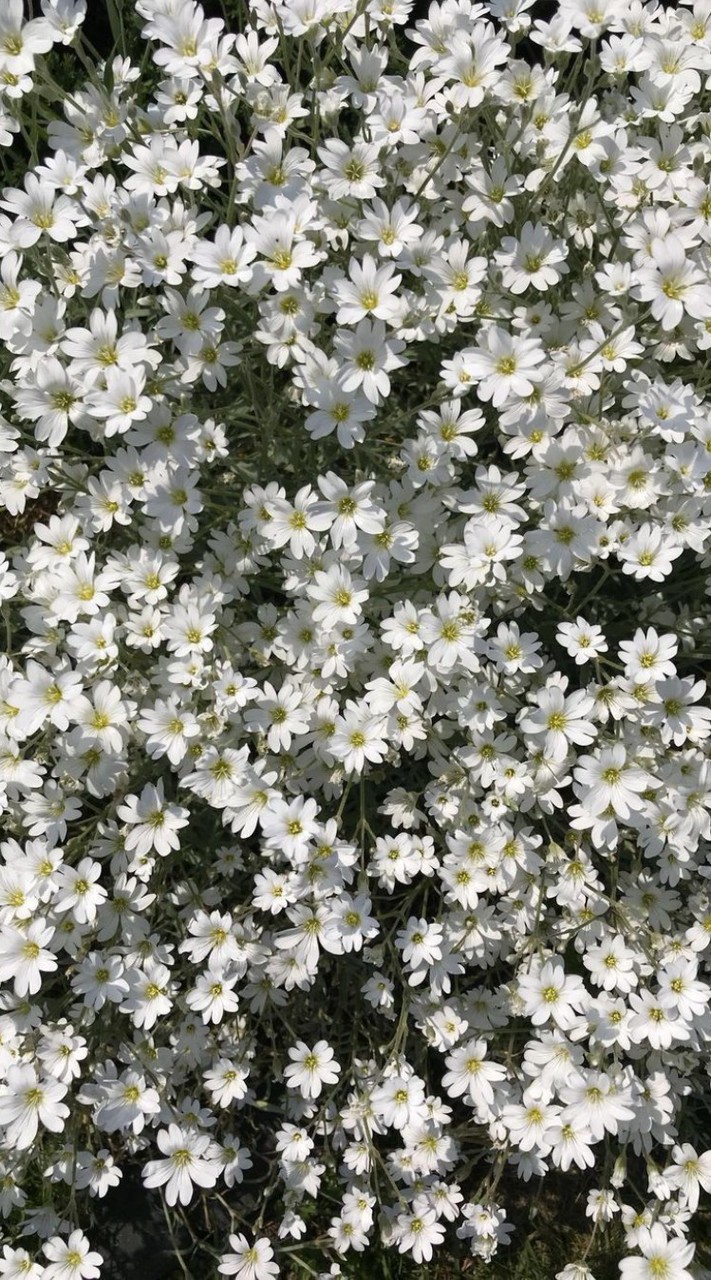 🎀₊✩‧₊˚౨คุยเล่นৎ˚₊✩‧₊🎀