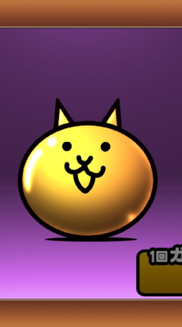 にゃんこ楽しも！