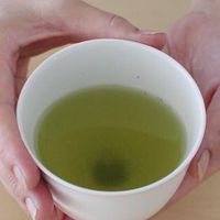 お茶の間会談🎶
