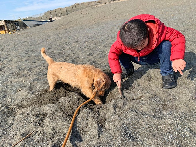 最も好ましい 有働 由美子 犬 ニスマホ 壁紙 シンプル