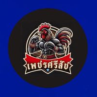 เพชรศรีสัช X ศ.พยัคฆ์ไกร