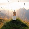 -RISE CBD open chat −