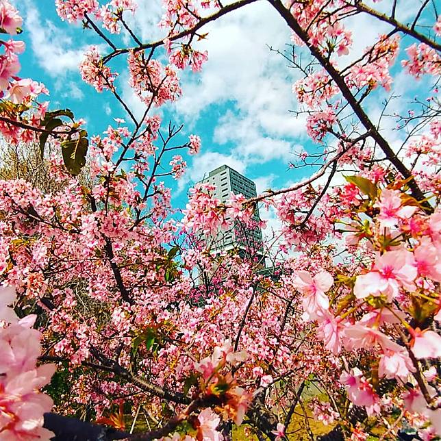 （圖片來源／IG @anguslifefilm）