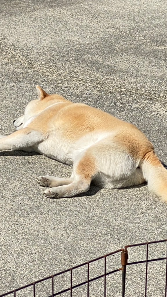 雑談