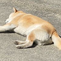 雑談