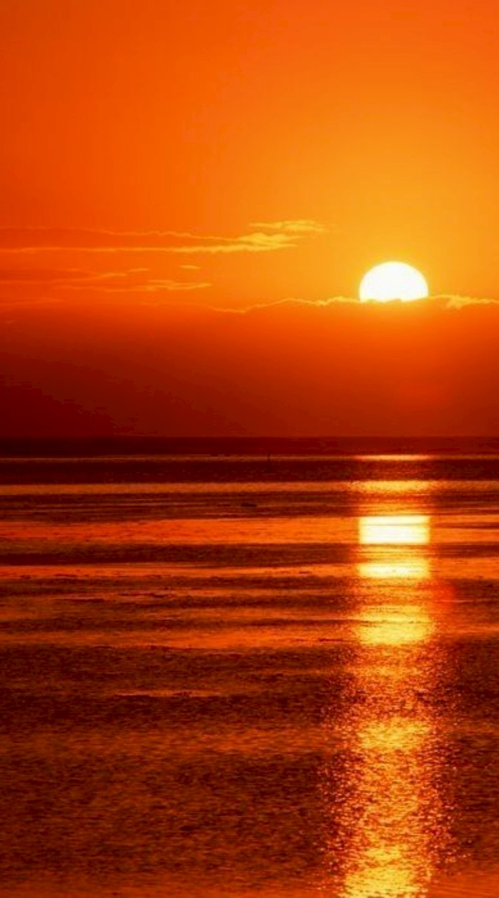 ⚜️🎀♡Osana♡🎀⚜️