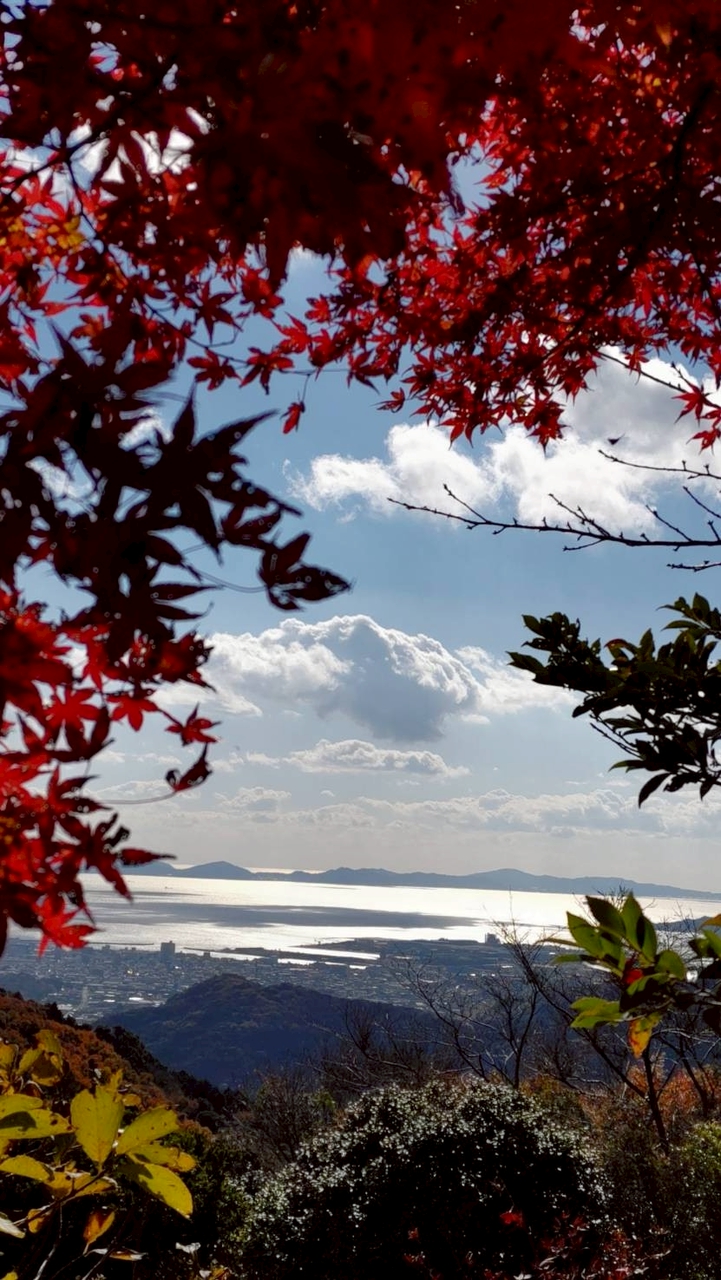 メインルーム　【愛知県】登山仲間