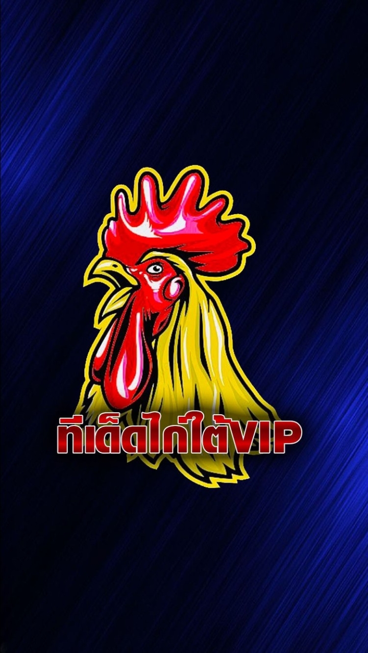 ไก่เดือยใต้(กลุ่มใหม่)ศิษย์จารส้มVIP