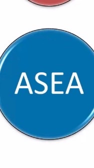 ASEA享瘦挑戰營