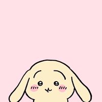 chiikawa 上好美盤群 💬