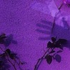 𝑮𝒆𝒏𝒕𝒍𝒚