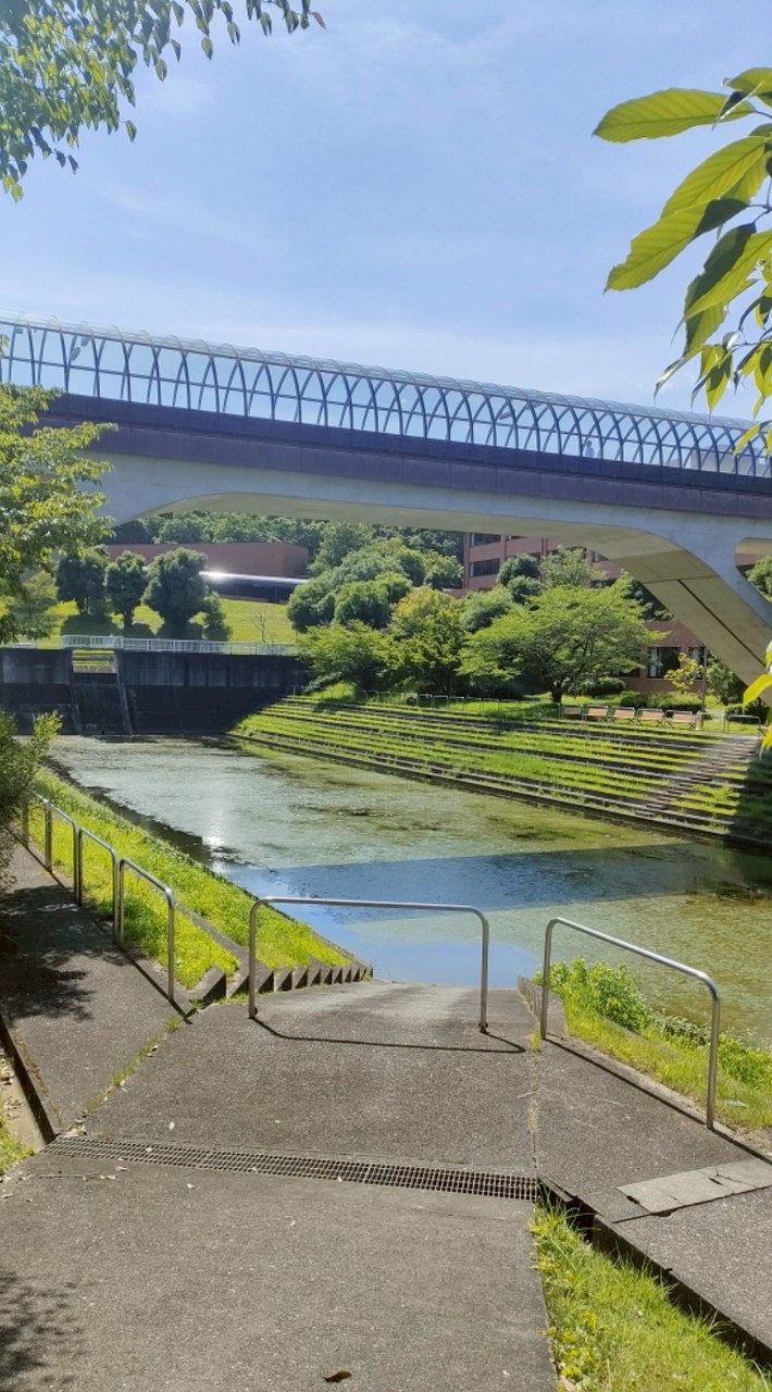 2026年度春から大東文化大学
