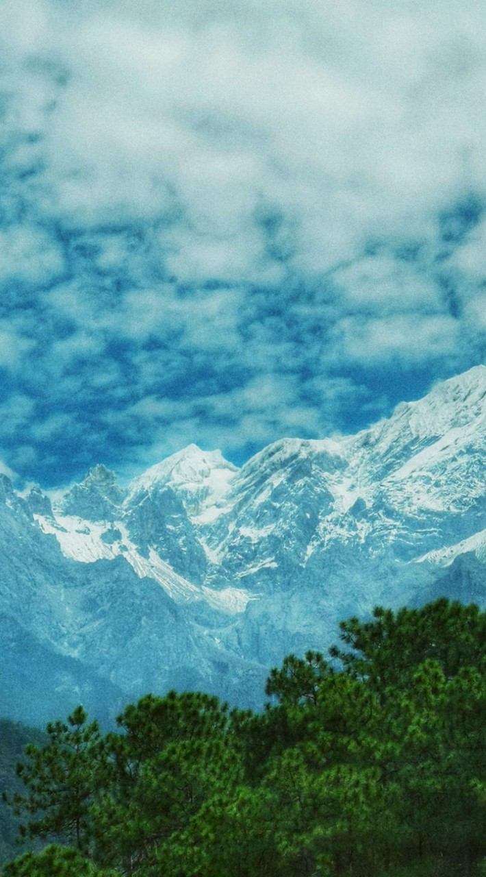 zanith S.8