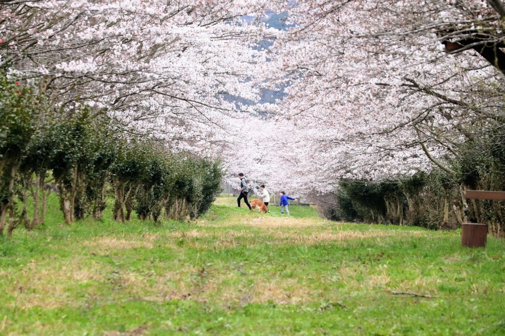 神鍋高原