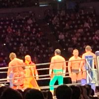 新日本プロレス🤼‍♀️プ女子専用部屋