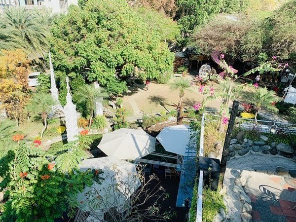 倪倪愛旅遊－『台中大坑一日遊推薦』台中近郊鳥語花香闔家出遊秘密花園-台中大坑紙箱王創意園區、東山水岸餐廳、東東芋圓直擊分享