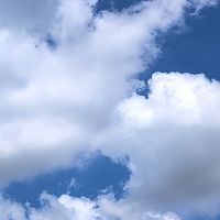 家族ごっこ