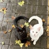 ひまなひとーたくさんきてー