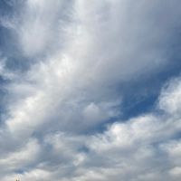 グチ 吐き出し・孤独な独身（恋人持ち不可）