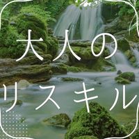 大人のリスキル