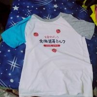 北海道新鮮🍓草莓衣服