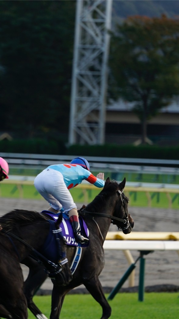 競馬、乗馬が好きな学生集まれ！！