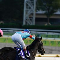 競馬、乗馬が好きな学生集まれ！！